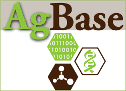 AgBase